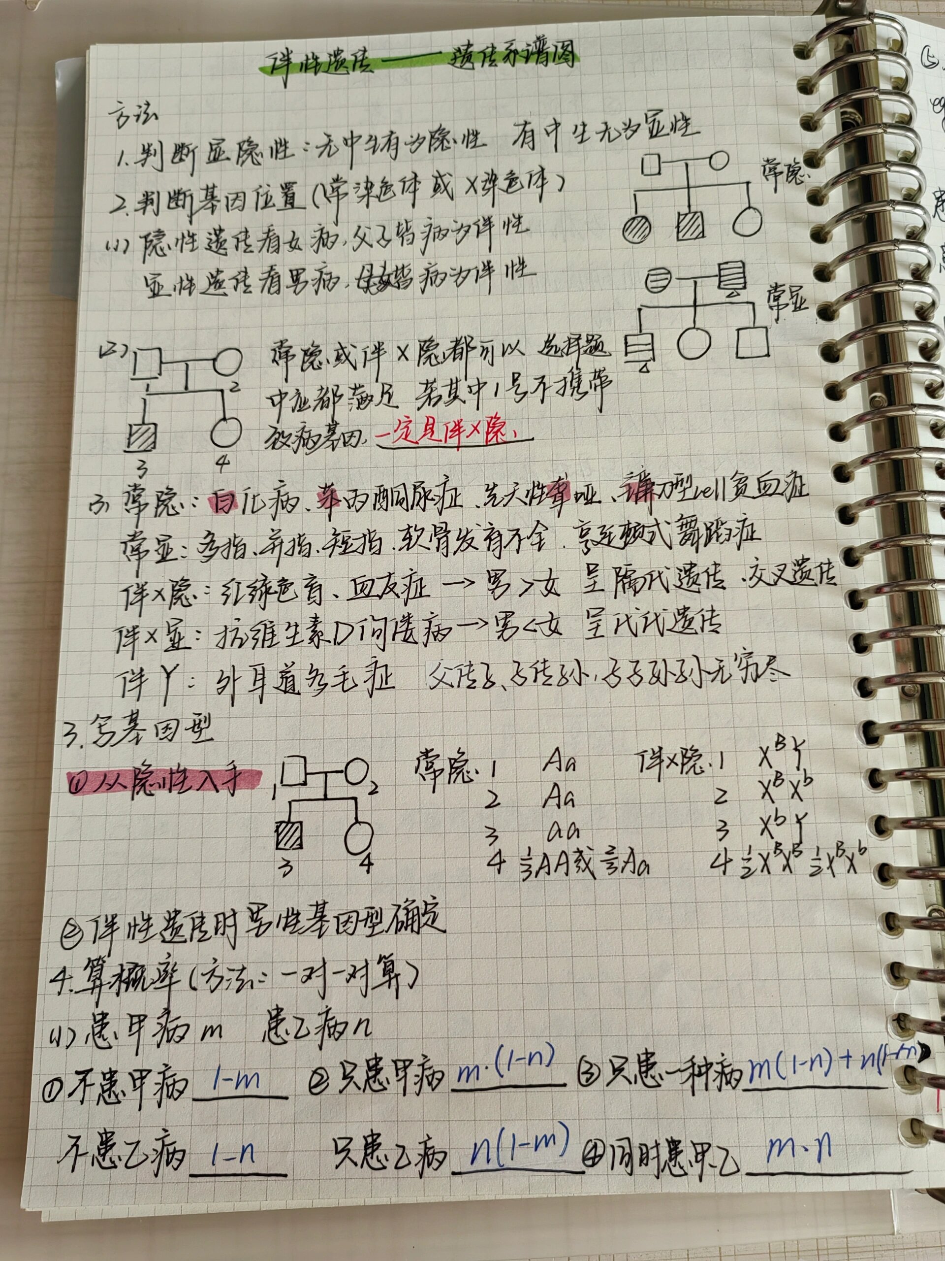 新教材高中生物必修二伴性遗传—遗传系谱图