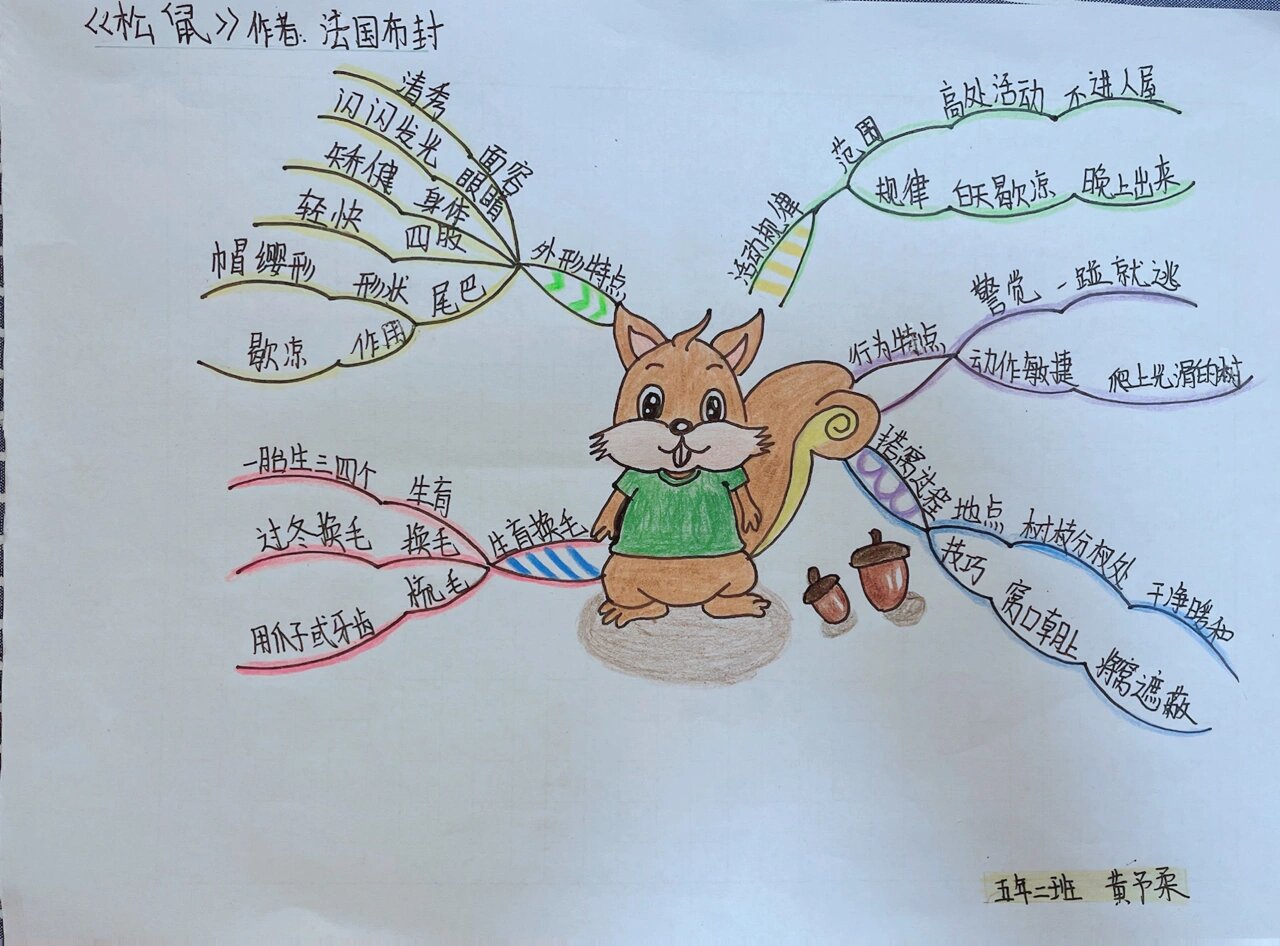 思维导图 人教版五年级第四单元 课文《松鼠》思维导图