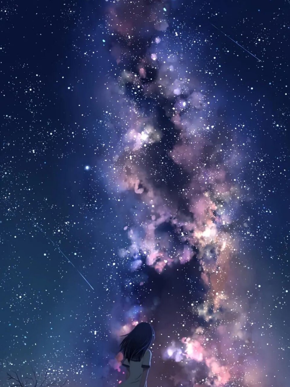 星空情侣壁纸合集 星河璀璨人间理想✨