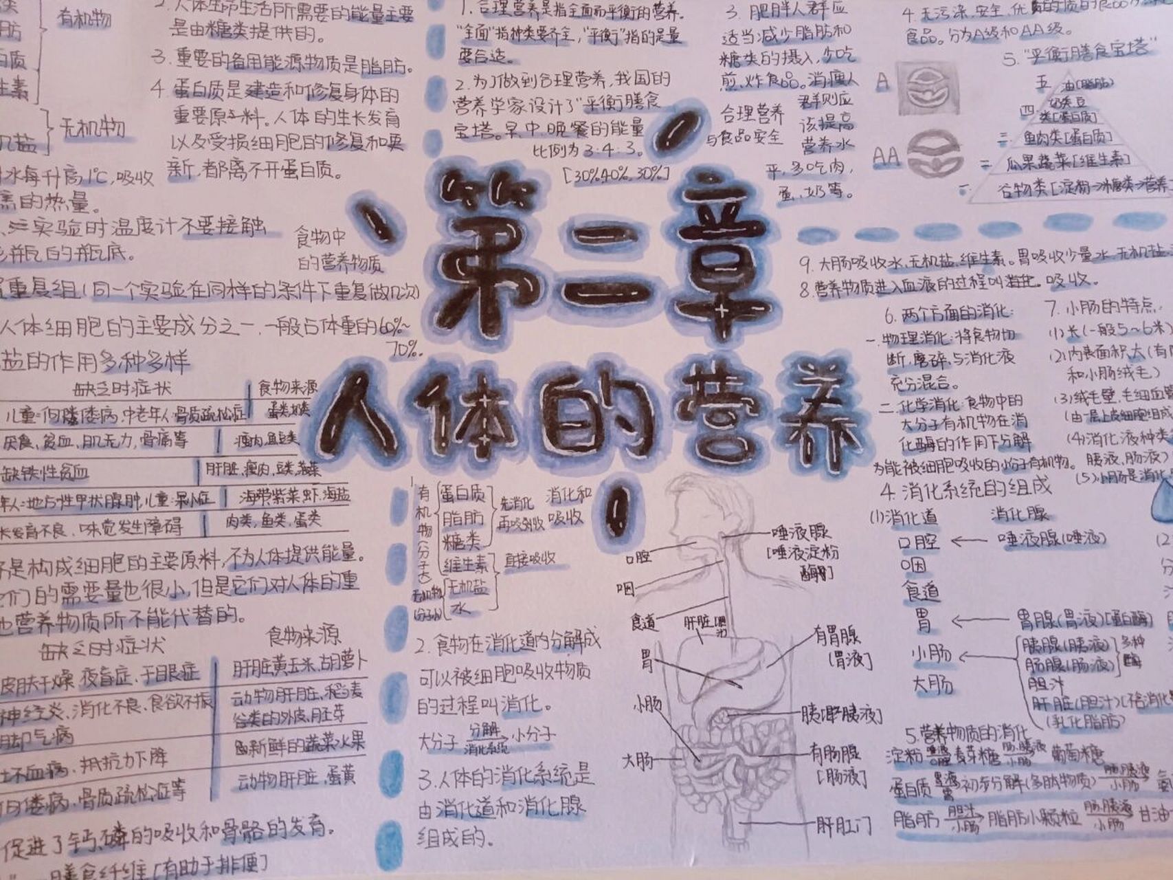 七年级下册生物第二章思维导图 笔, 吴竹软头笔,樱花秀丽笔,樱花高光