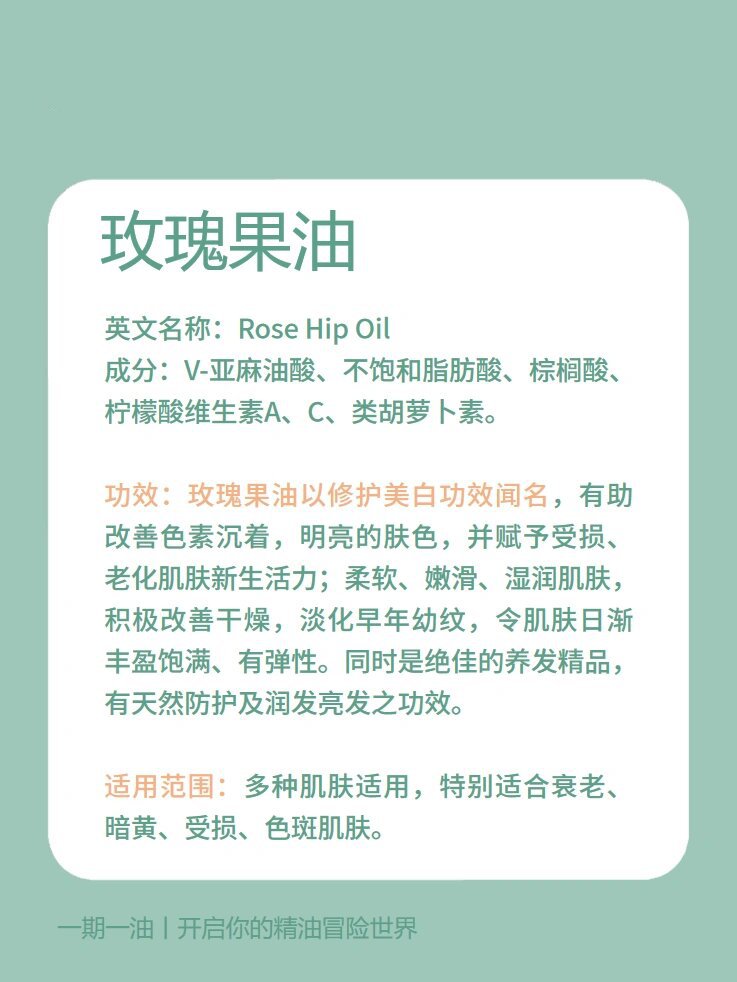 玫瑰果油的15种妙用