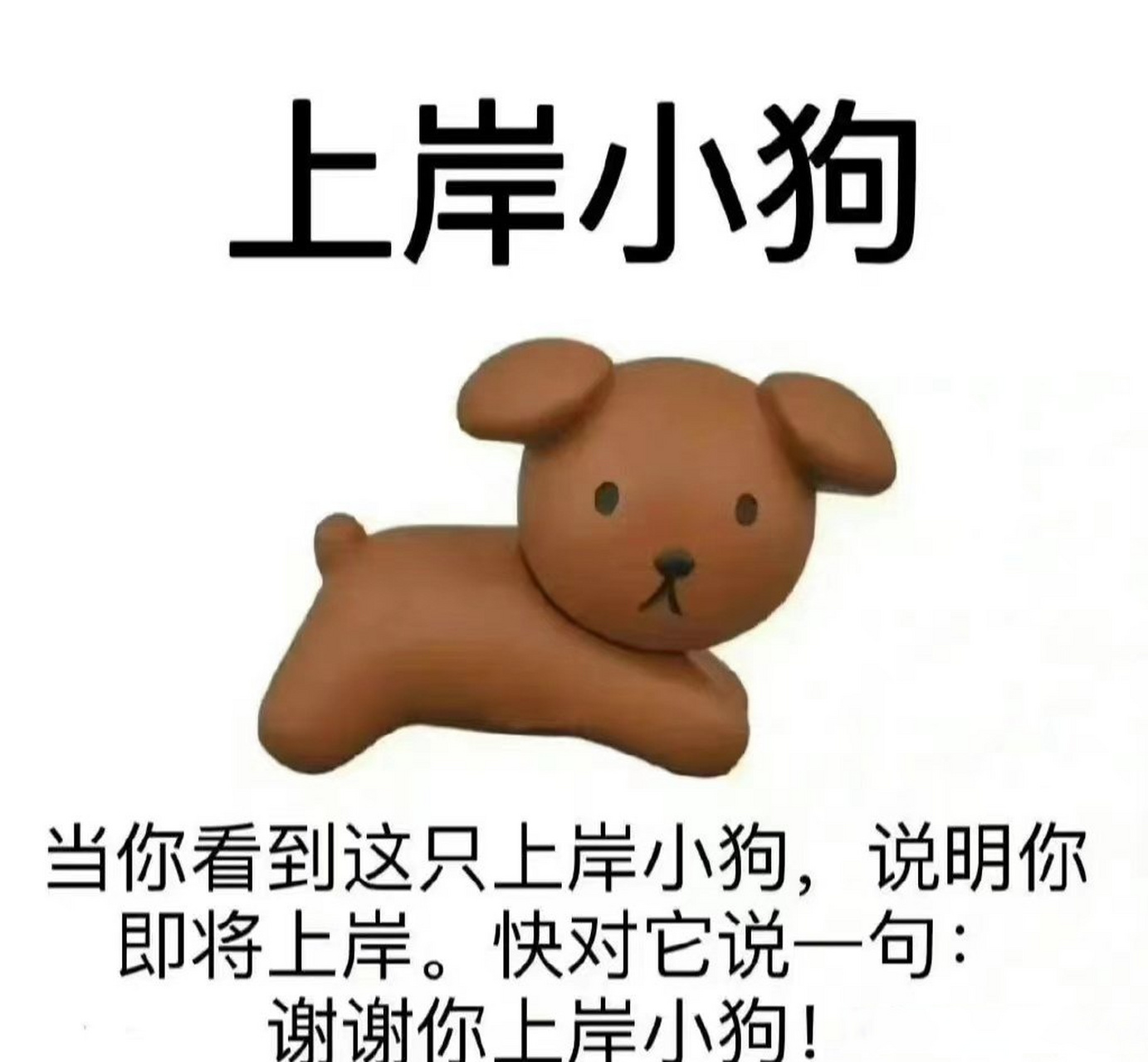 [心]  #专八答案