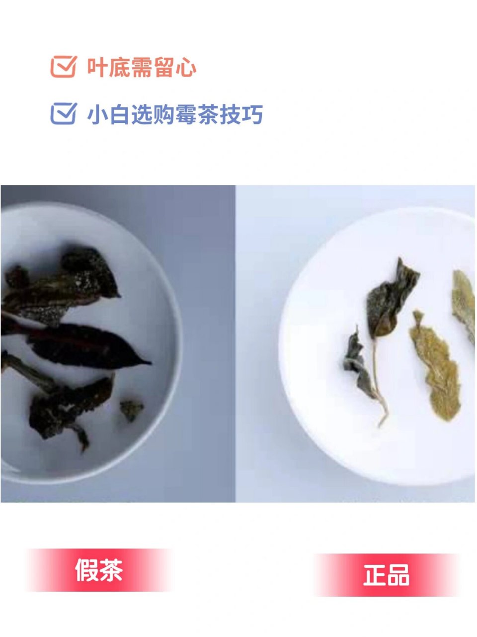 莓茶真假辨别图片图片