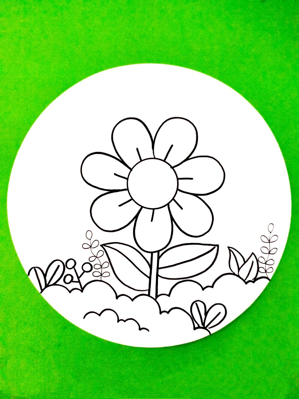 春天简笔画,花朵简笔画,一起来画美丽的七 春天简笔画,花朵简笔画,一