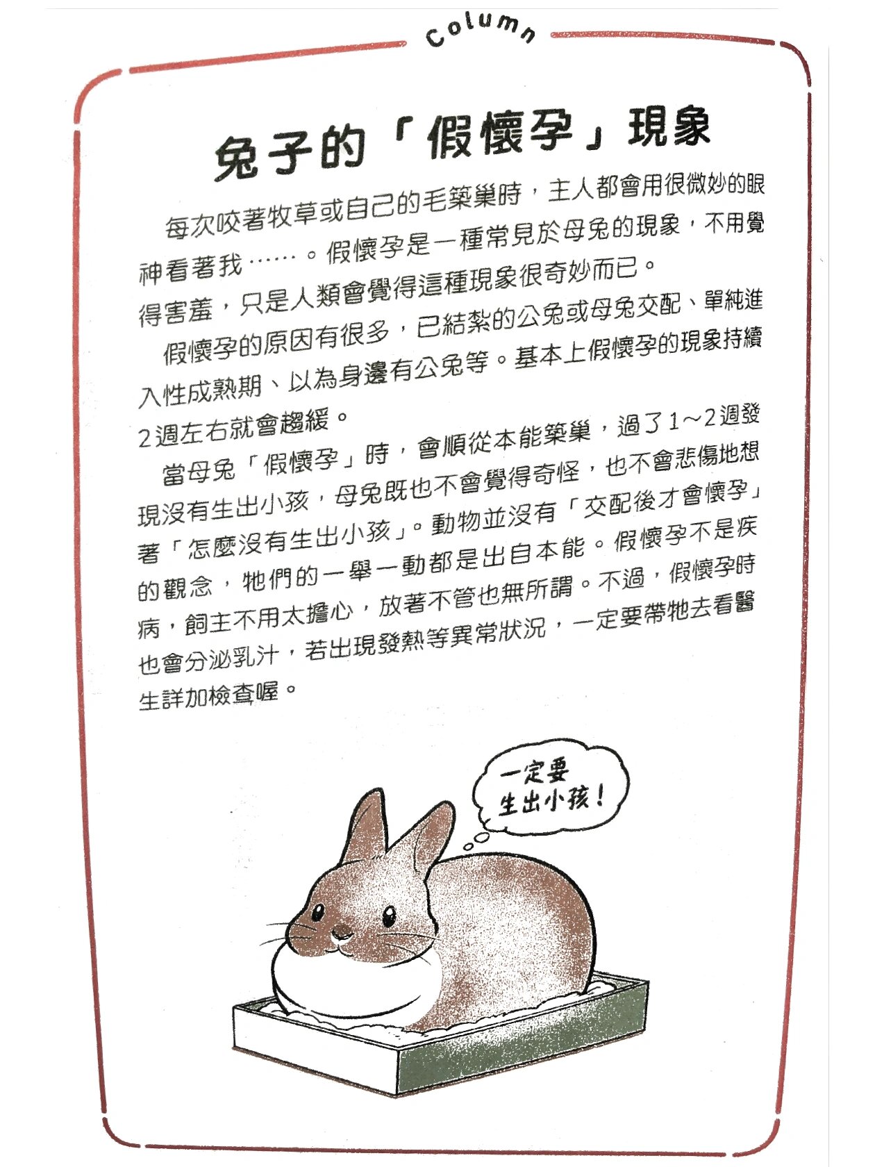 【新手养92系列】兔兔的"假孕"现象!