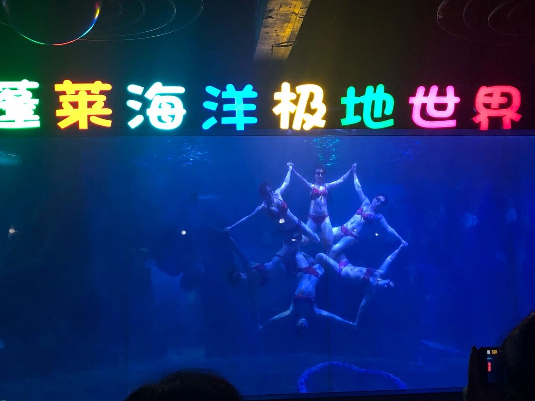 自驾游蓬莱之蓬莱海洋极地世界 我们是在今年的端午假期从潍坊昌邑