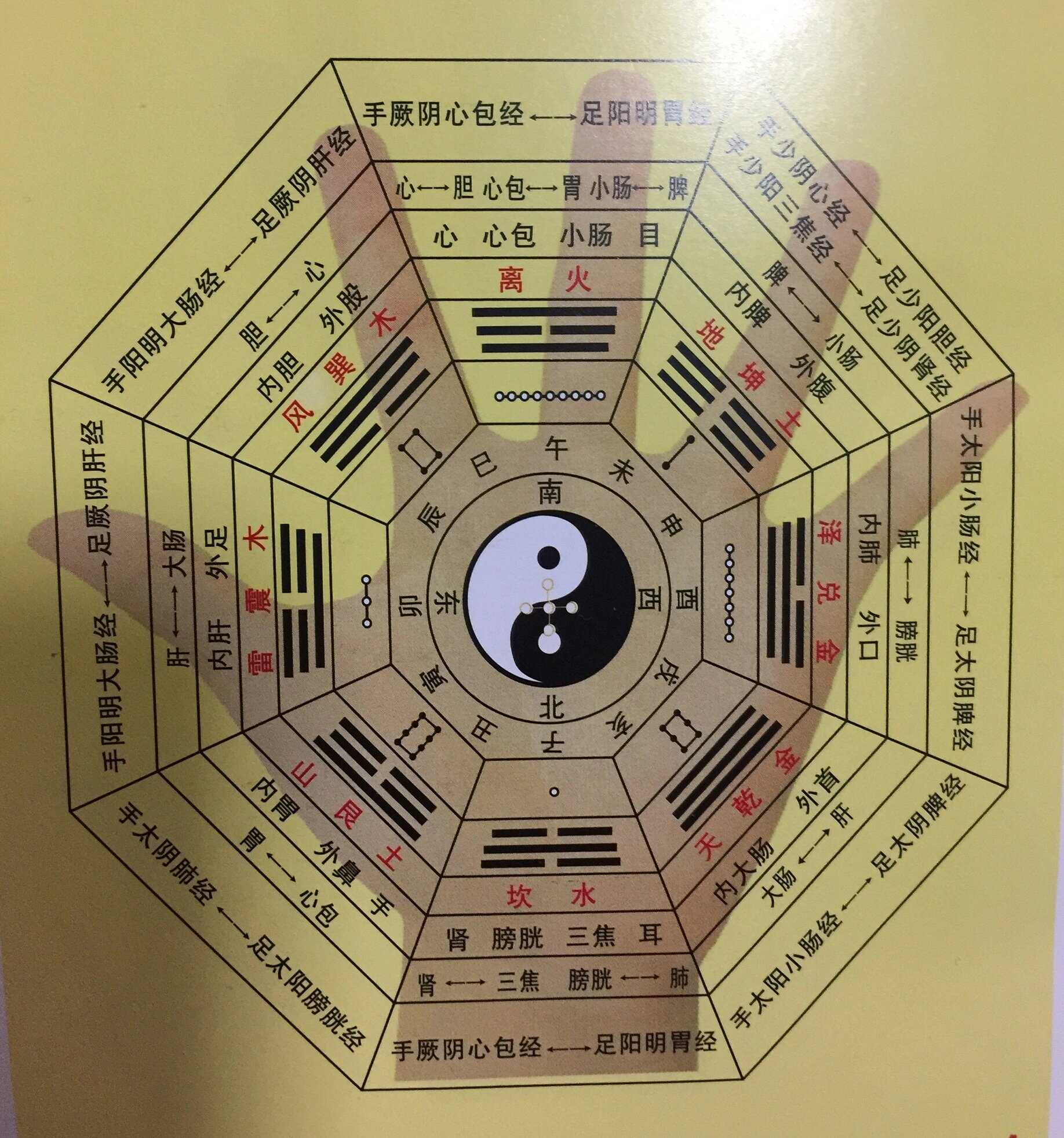 学习中医一定要死记硬背的知识 这张八卦图是八卦针法方位图 学习中医