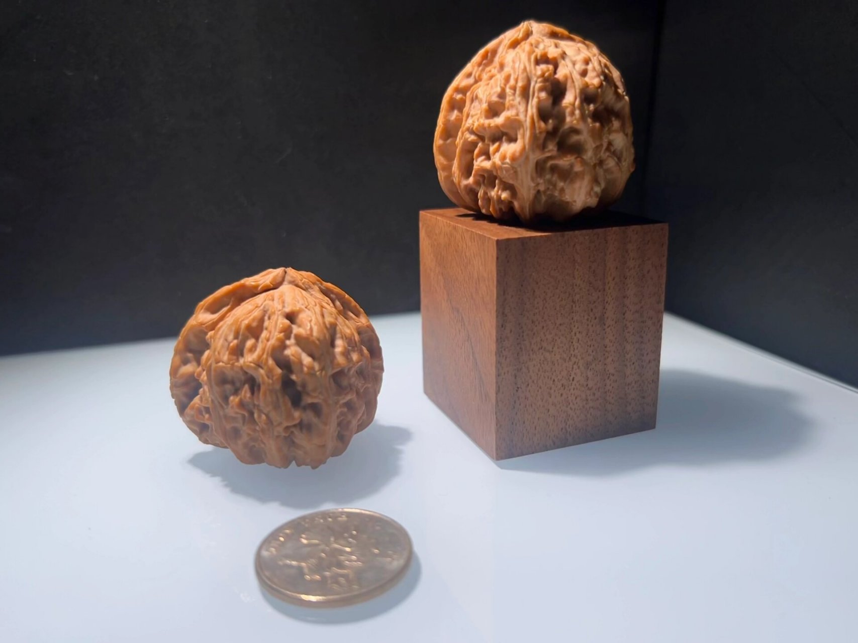 万象核桃:三角白 三角白作为文玩核桃,近年来备受追捧.