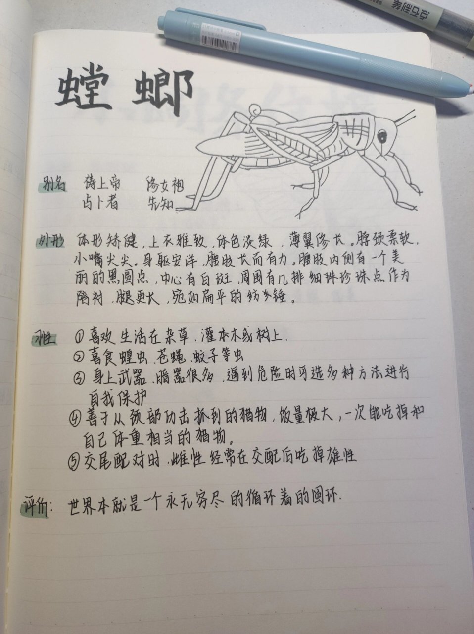 昆虫备忘录螳螂作文图片