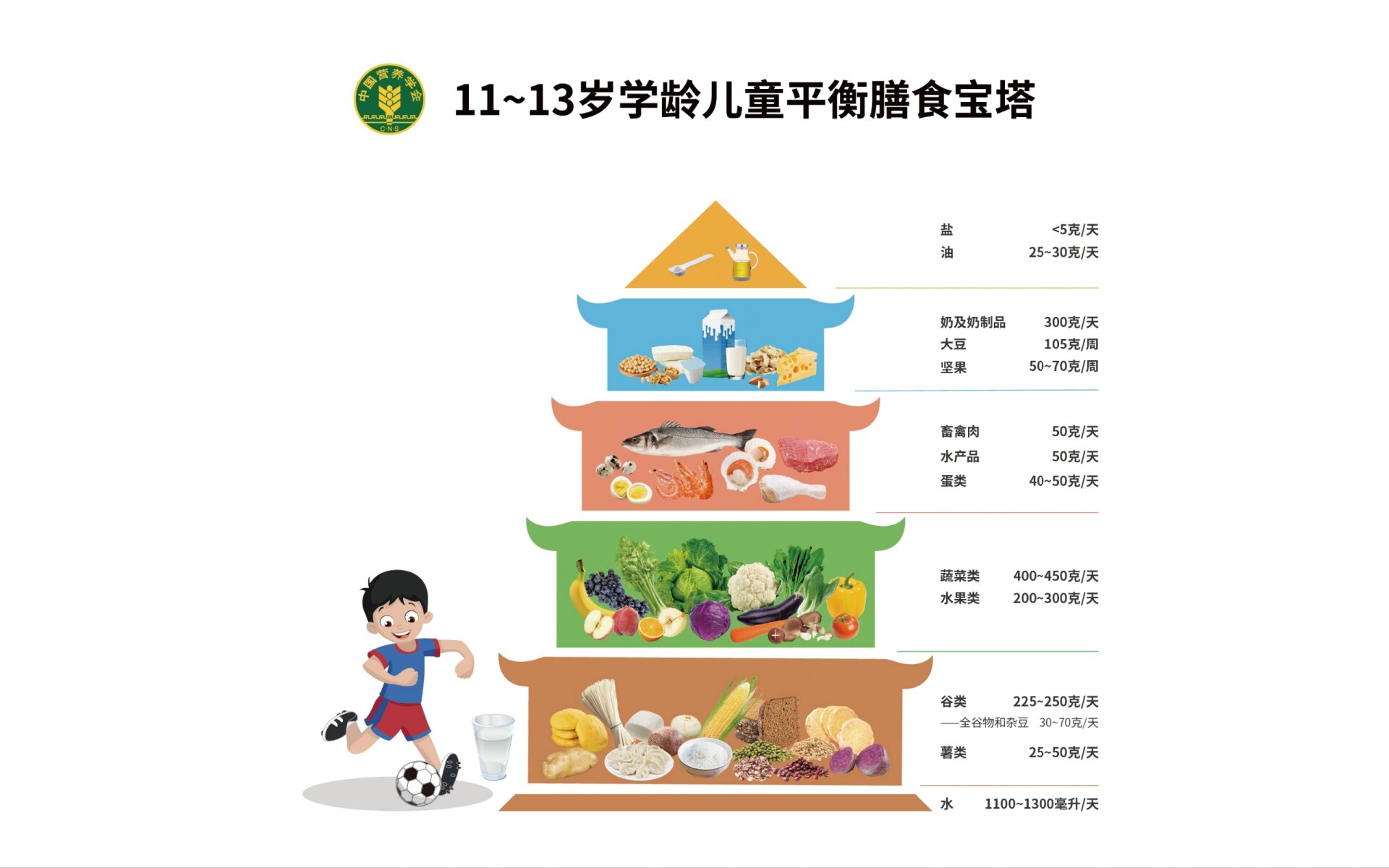 指南 包括普通居民,备孕,孕期,哺乳期妇女,各年龄段儿童居民膳食指南