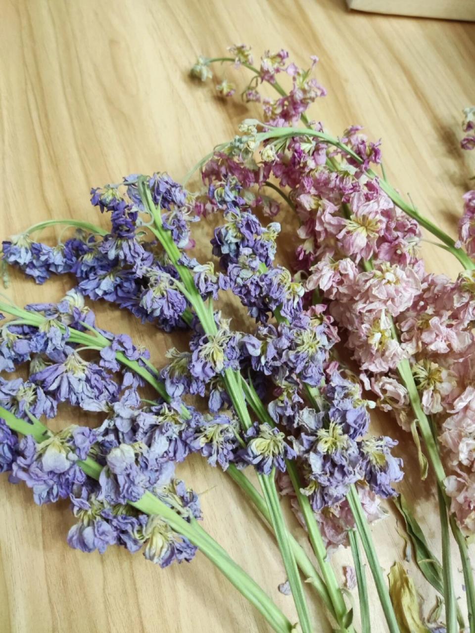 紫罗兰干花 谁懂我的惊喜啊,过年回家前还是鲜花,回来发现它自己就