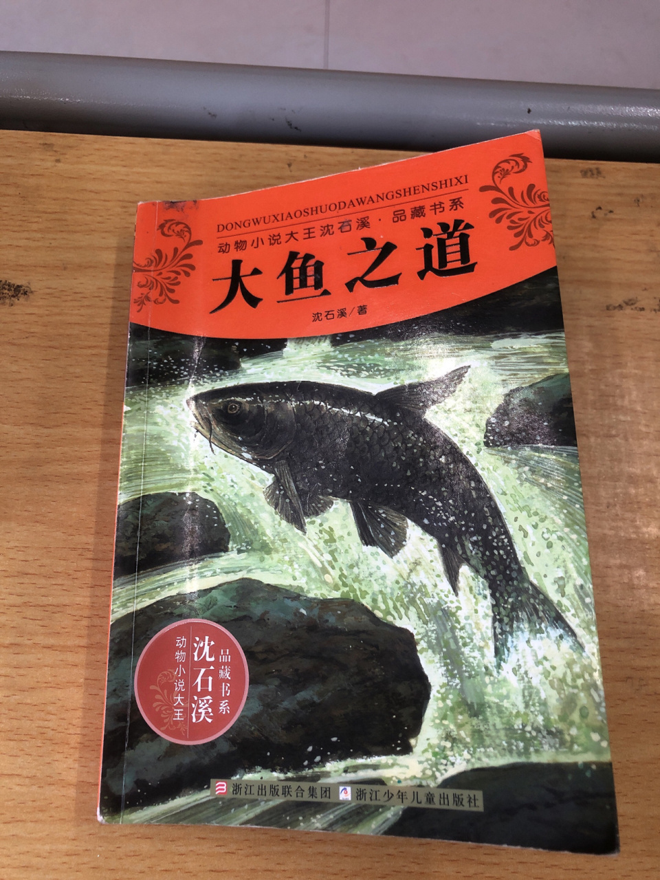 《大鱼之道》|沈石溪 今天看了治愈系的书——沈石溪《大鱼之道》 1