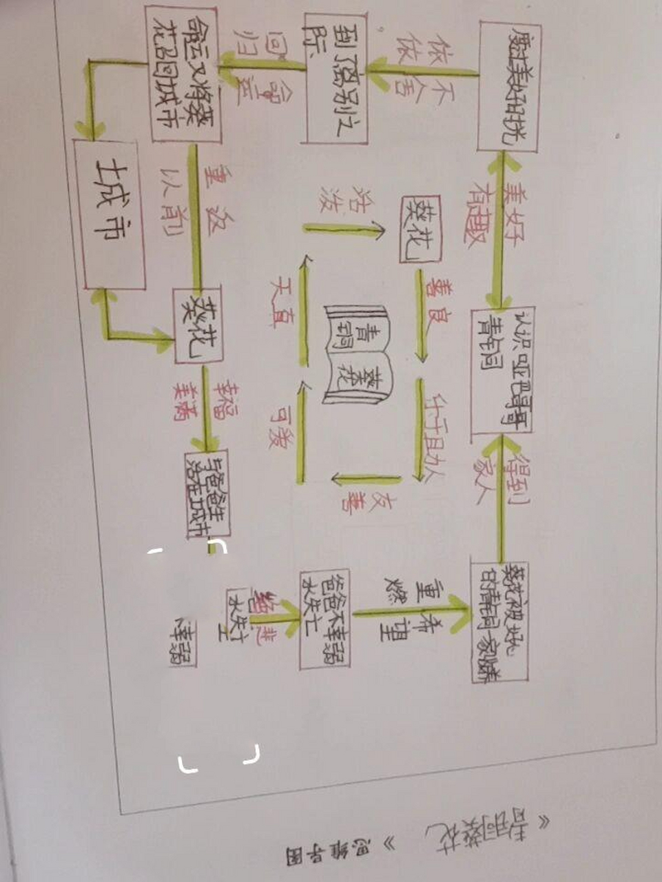 青铜葵花思维导图.