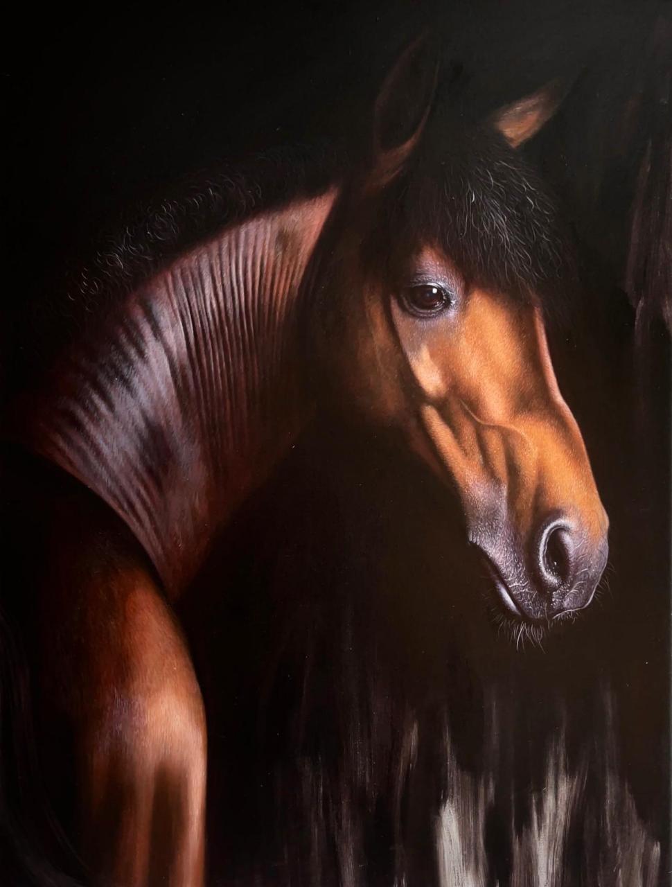 这些年画过的骏马系列油画作品.