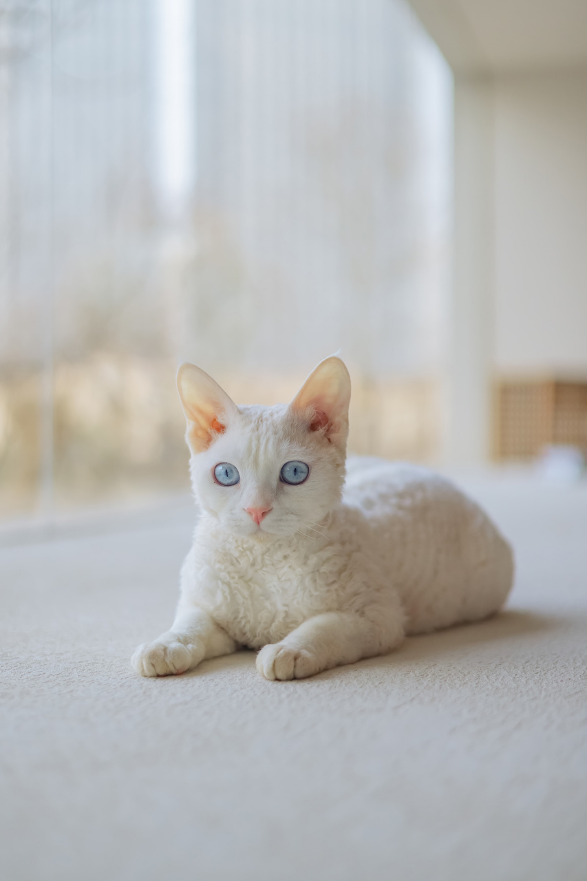 【#朋友请听好# 高清剧照】 点主播点点就是小漂亮和苔主播高冷苔柱子