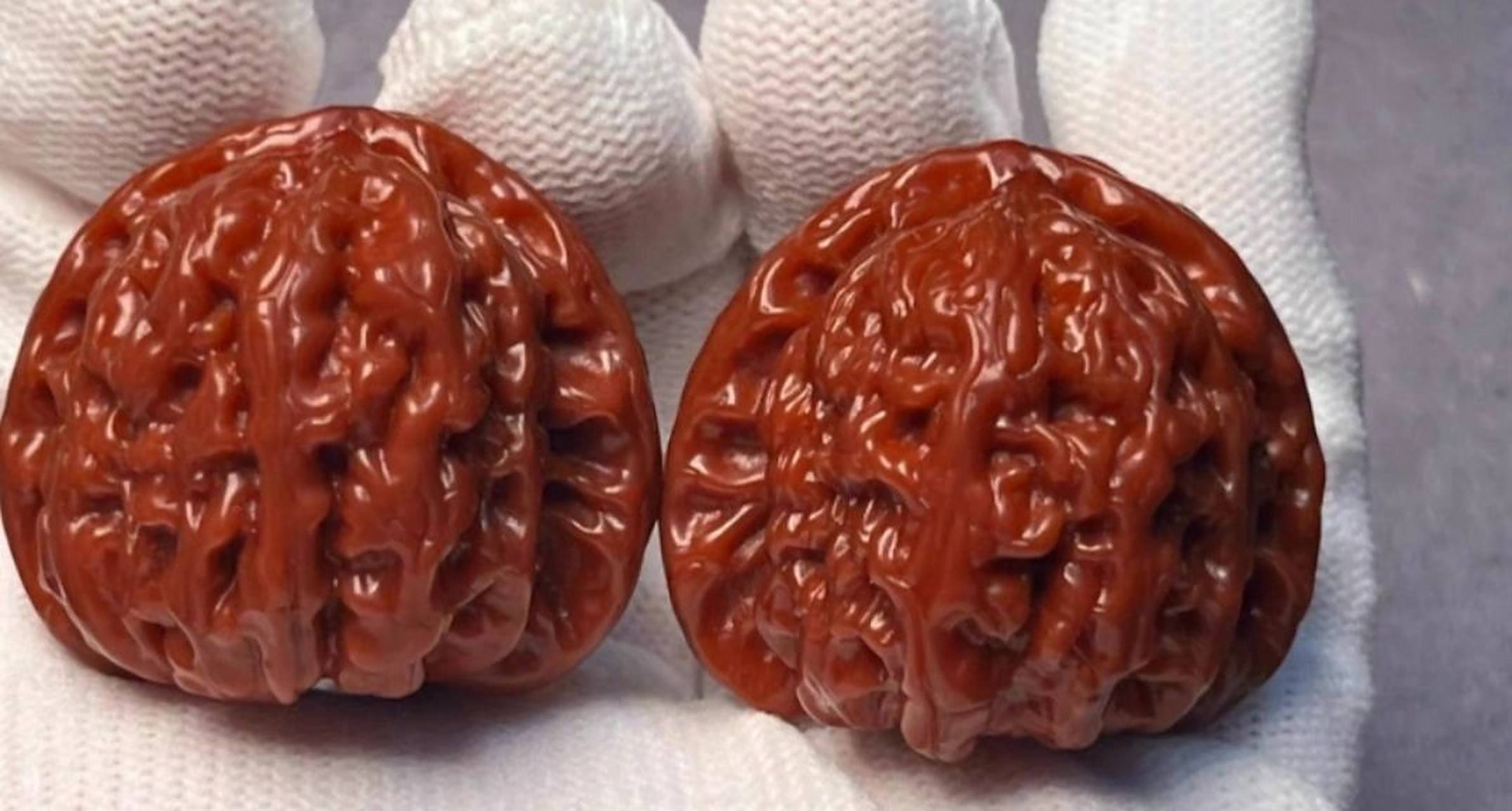 文玩核桃品种介绍(四)白狮子头 2003年产于河北涞水,为纯嫁接品种.