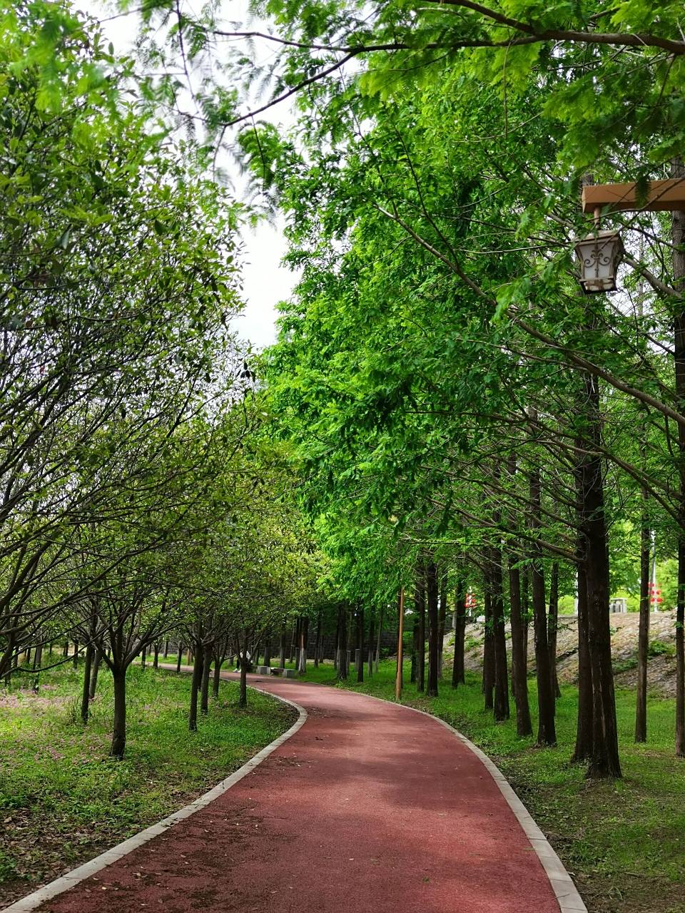 南阳(白河湿地公园)游记 白河荣升为湿地公园,面积24.