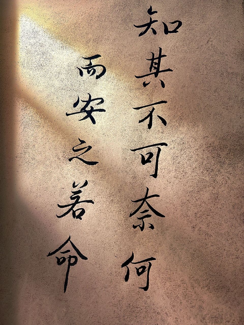 壁纸|知其不可奈何而安之若命