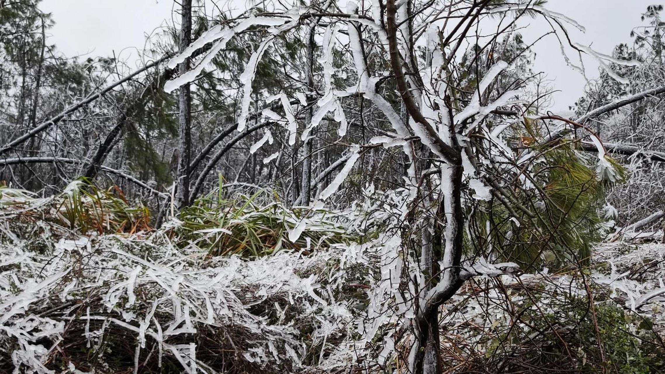 湖南的冻雨还在持续