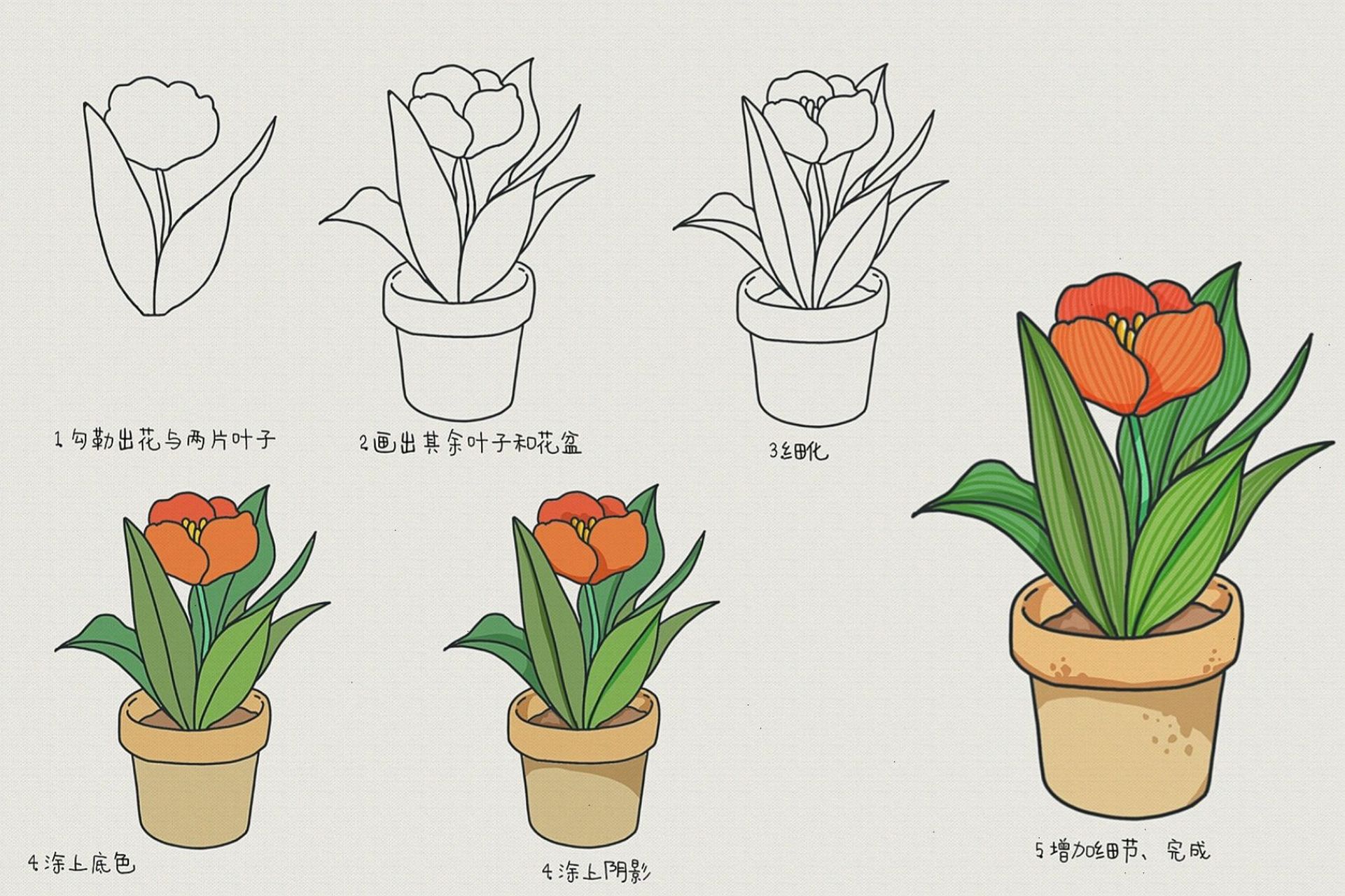 绿叶盆栽简笔插画教程~ 	 哇哦,漂亮的花朵,绿色盆栽简笔画教程简单几