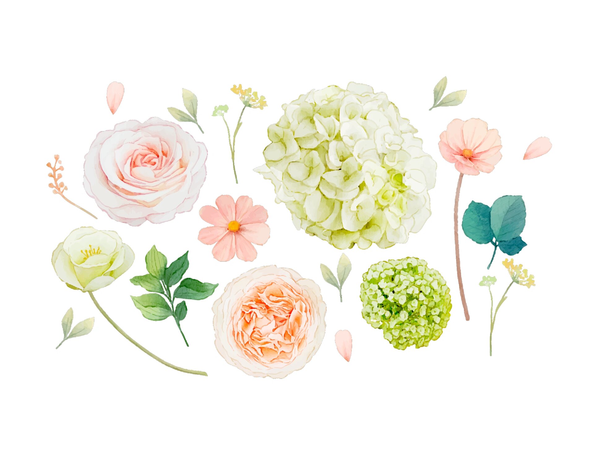 免抠花卉花朵素材🌺🌸