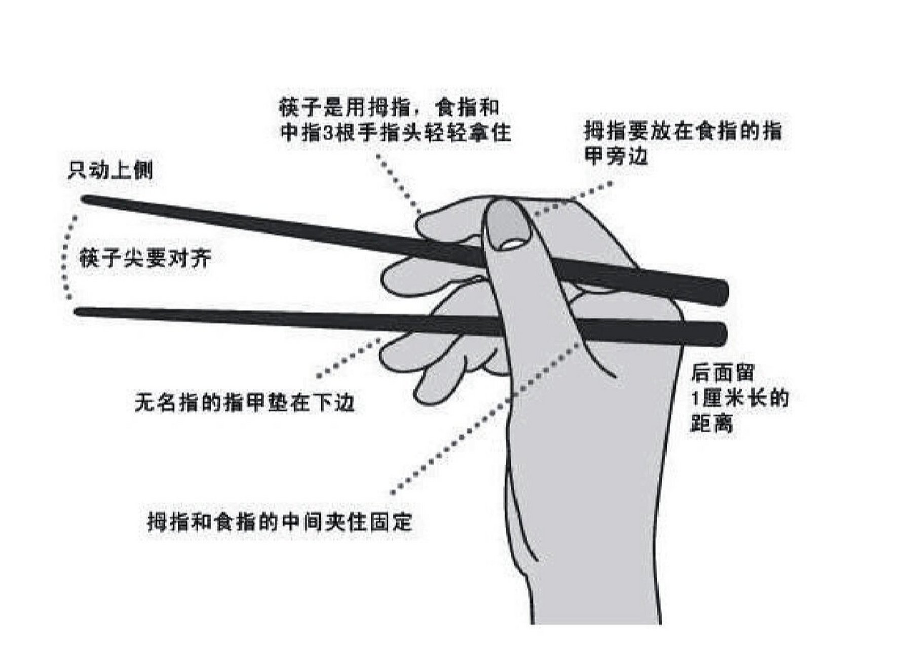 0202    上篇介绍了筷子的7总错误姿势,接着介绍正确的拿筷子姿势