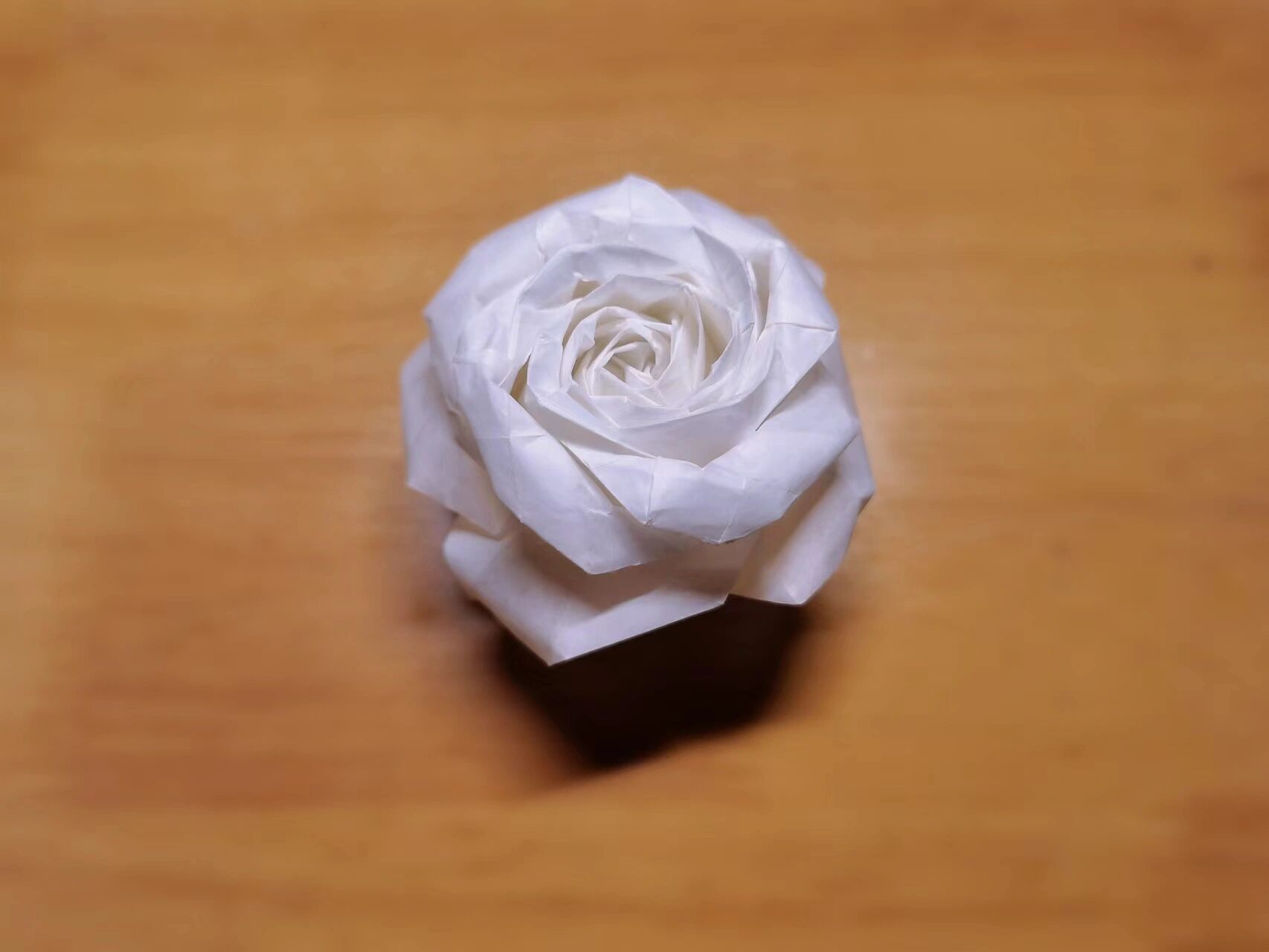 玫瑰折纸 暮夏玫瑰 28x28cm 牛皮纸 暮夏玫瑰和酒杯玫瑰的花瓣处理很