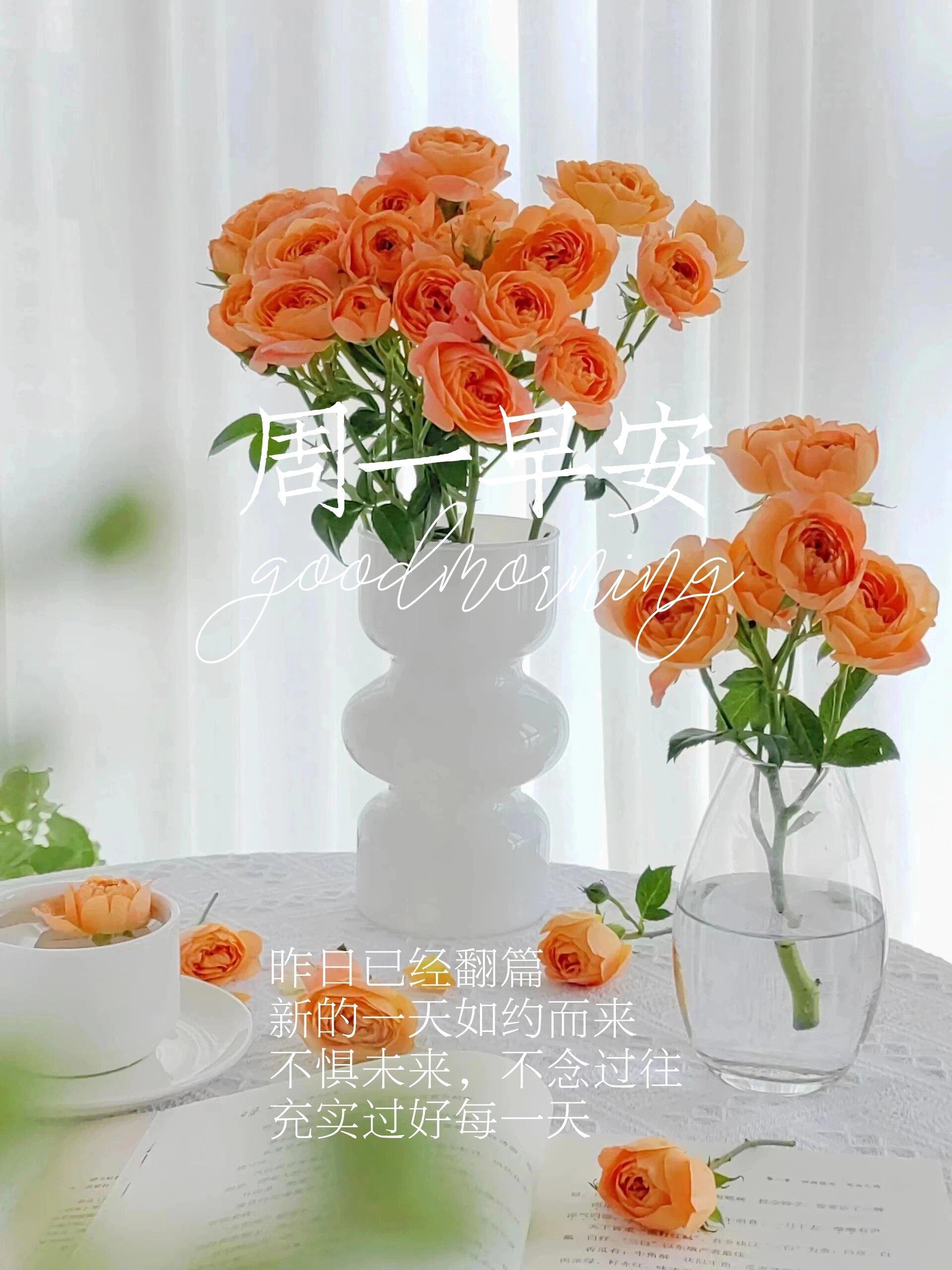 早上好!励志正能量语录图片文案