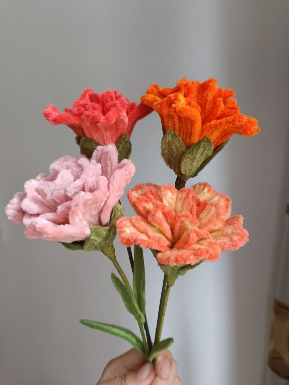 康乃馨的花语包括热情,魅力,使人柔弱的爱,真情,母亲我爱你,温馨的