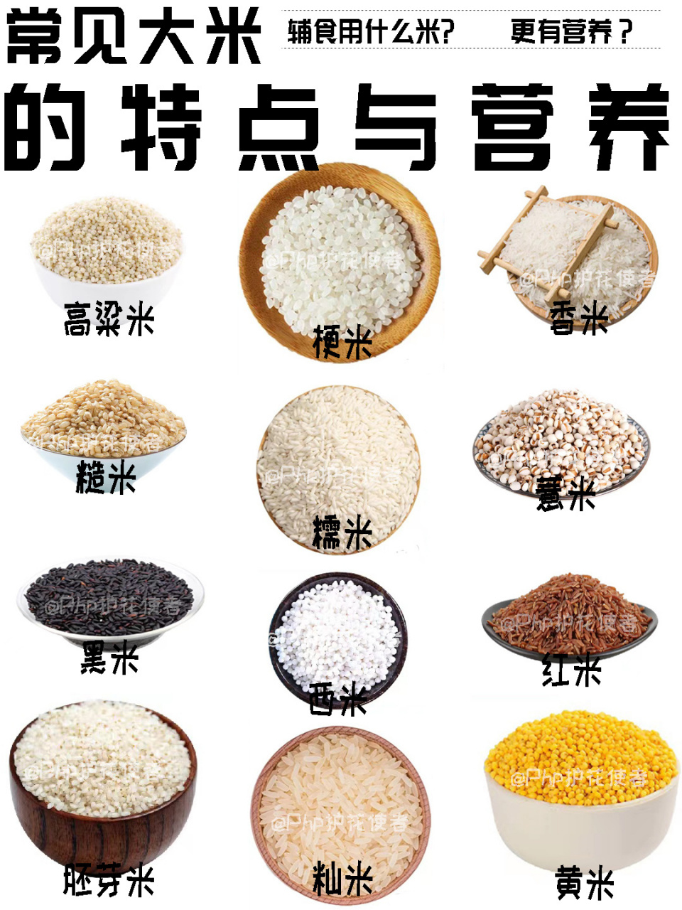 各种米的名称图片图片
