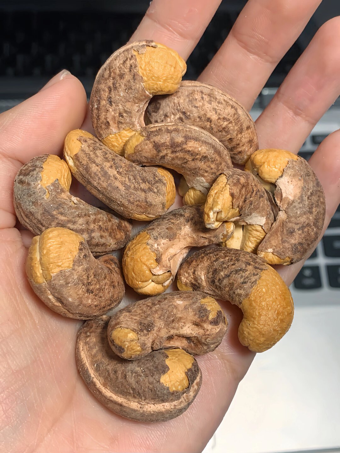 果如何判断腰果变质了紫皮腰果坏了腰果都是坏的山上果实吃了舌头变紫