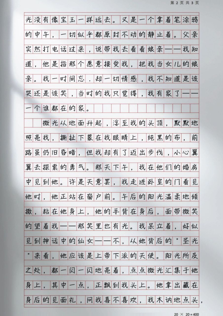 优秀高分作文《微光》