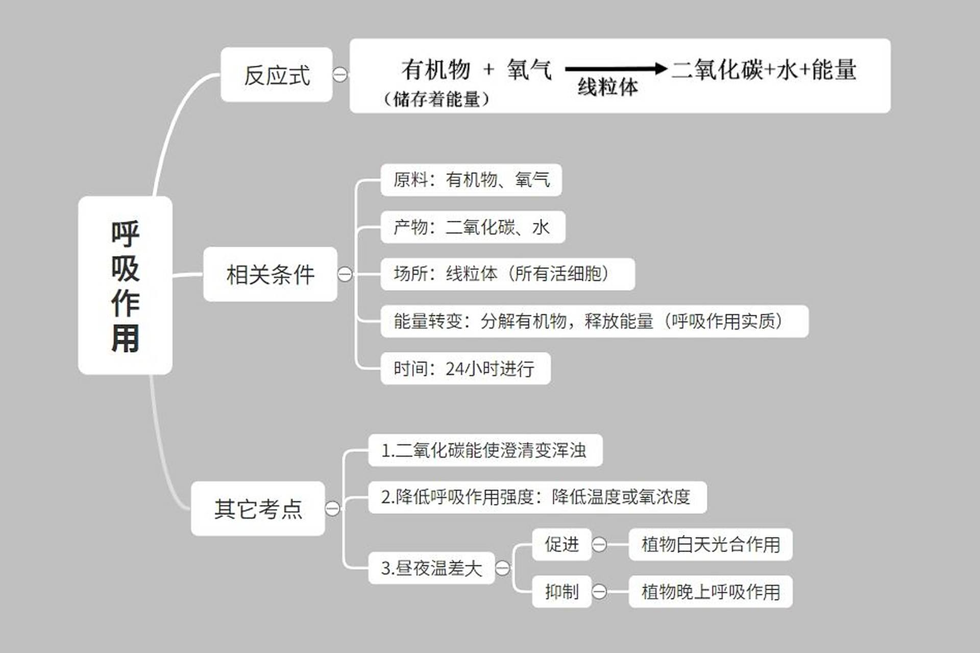 【生物篇】初一上册「呼吸作用」思维导图 最后一小块内容来啦