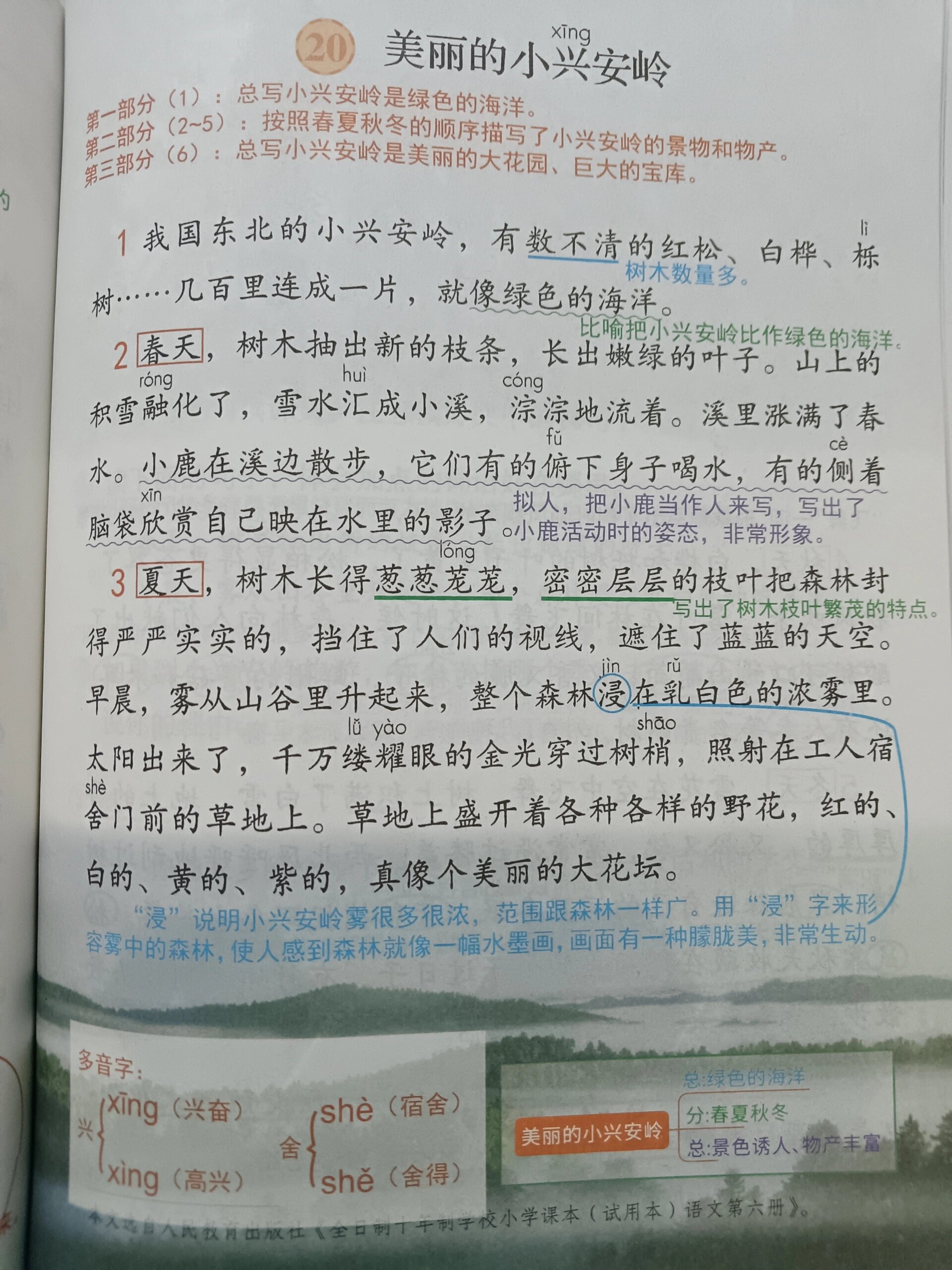 三上20《美丽的小兴安岭》 三年级上册语文 20《美丽的小兴安岭》教师