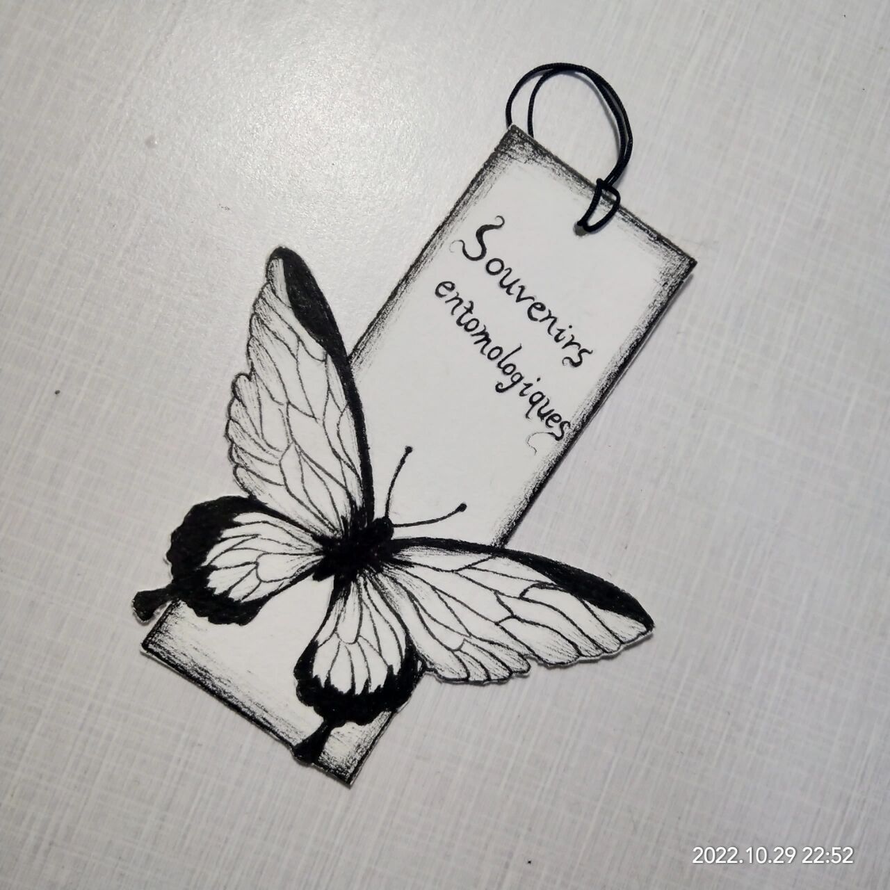 《昆虫记》和《红星照耀中国》书签 学校又要来白嫖了03 我好舍不得