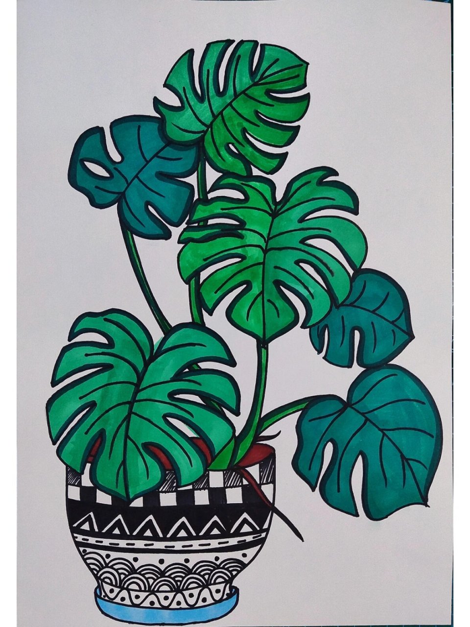 【创意画】龟背竹61带步骤617-9岁 #儿童创意美术# #创意美术儿童