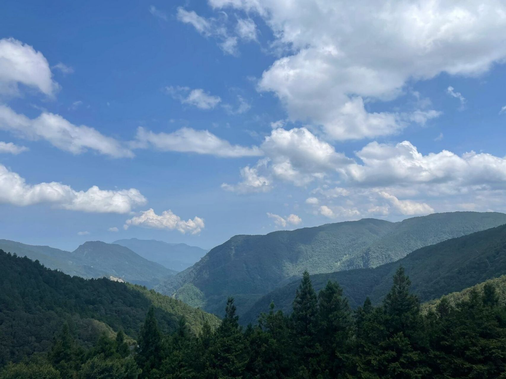 宜兰太平山景区:强烈推荐 这是我们强度最大的一天,但是风景真的很美