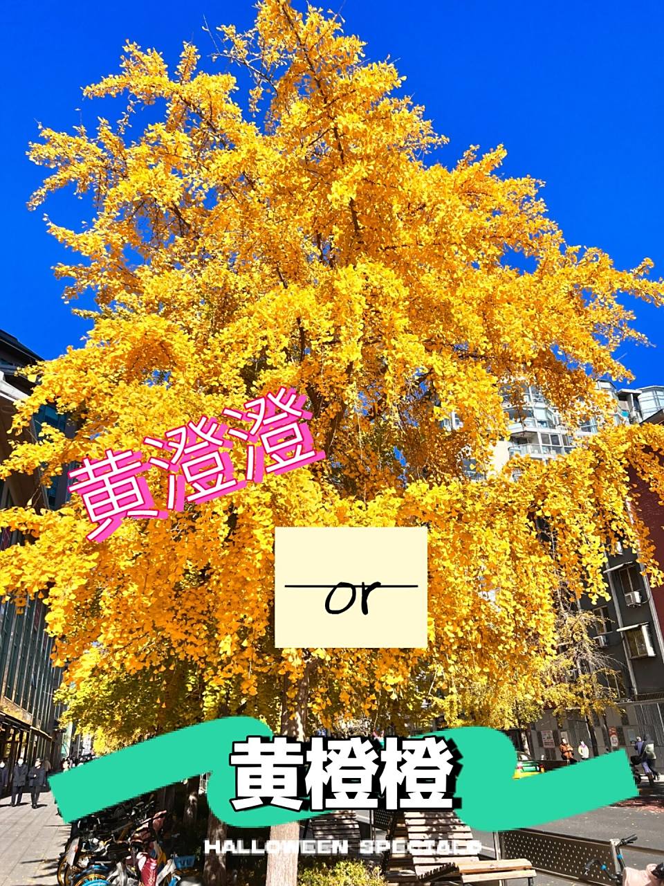 "黄橙橙"为错误词组, 73正确的应为黄澄澄.