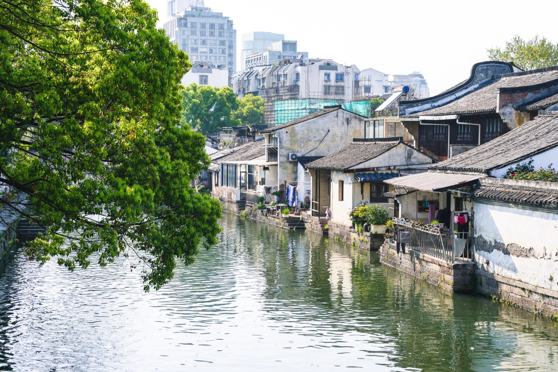 水乡照片风景图片