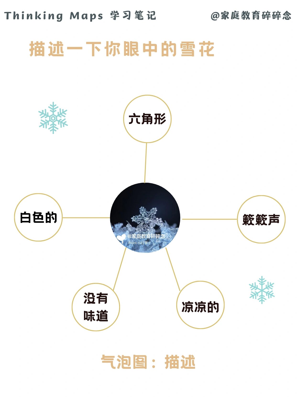 雪花思维导图图片