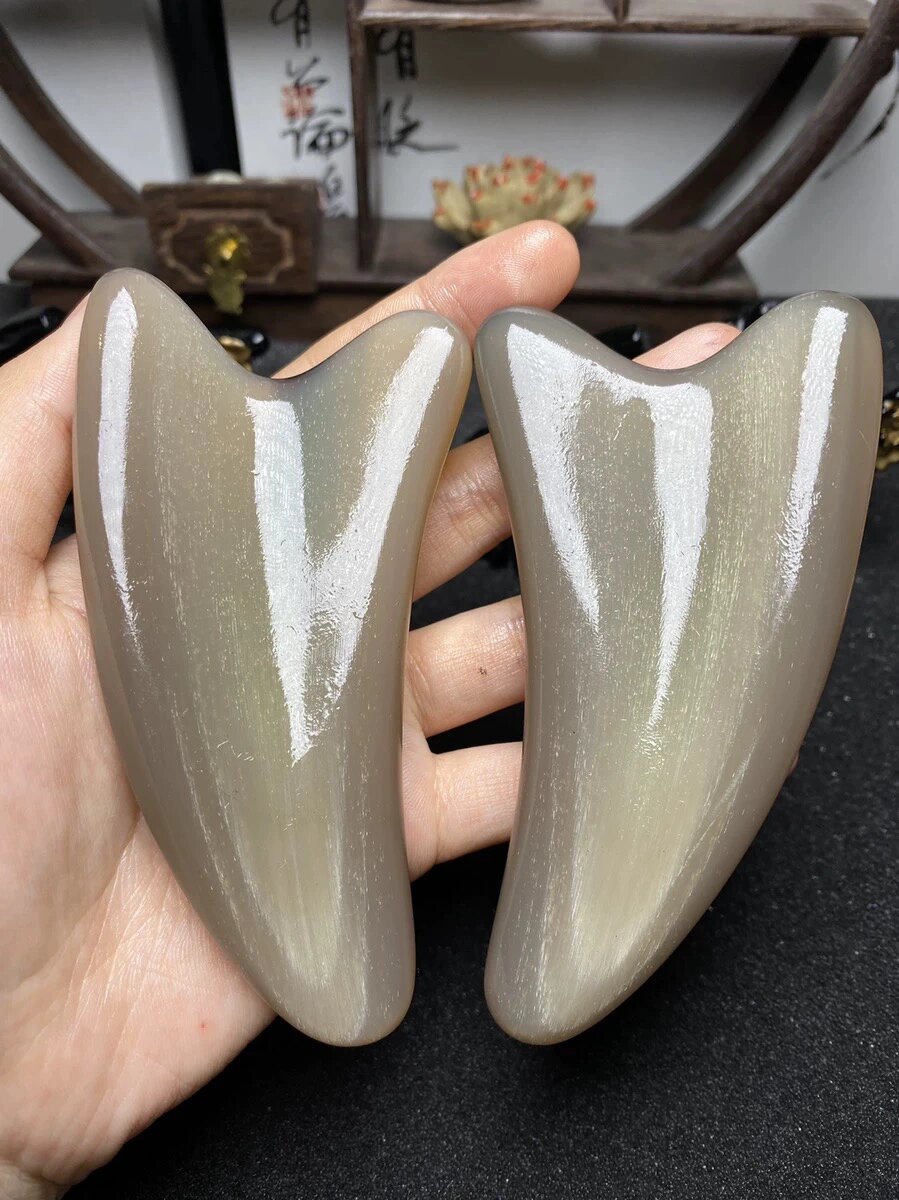 一,白水牛角公牛角与母牛角的区别