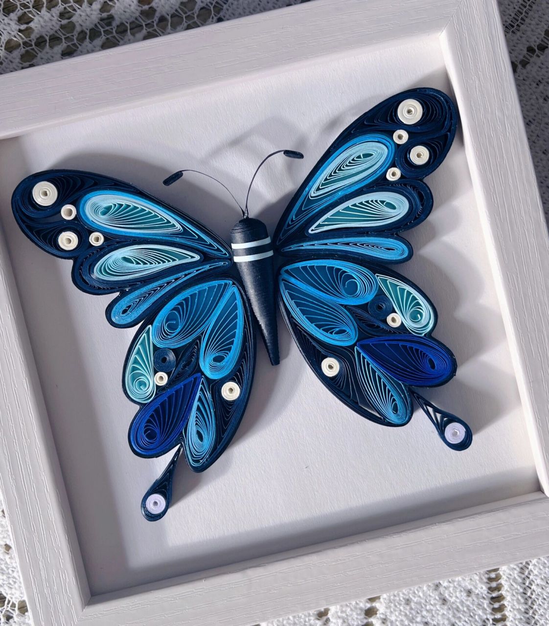 衍纸·蝴蝶03～ 你若盛开,蝴蝶自来03 悄悄努力,悄悄优秀,该来的