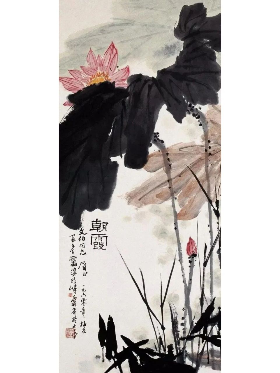 潘天寿的荷花 潘天寿的荷花笔墨苍古,凝炼老辣,且大气磅礴,雄浑奇掘