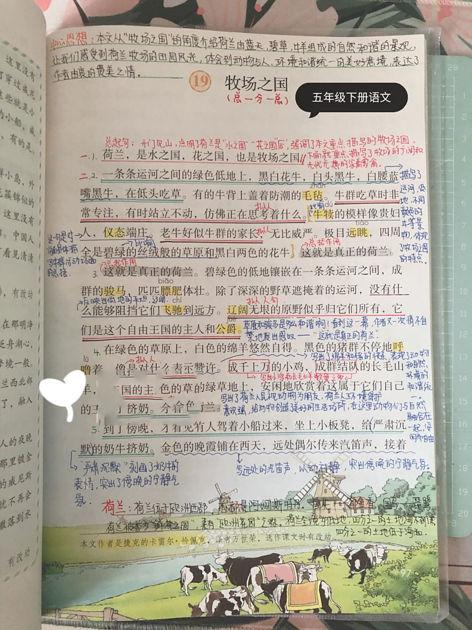 五下语文19-牧场之国 预习笔记 详细笔记