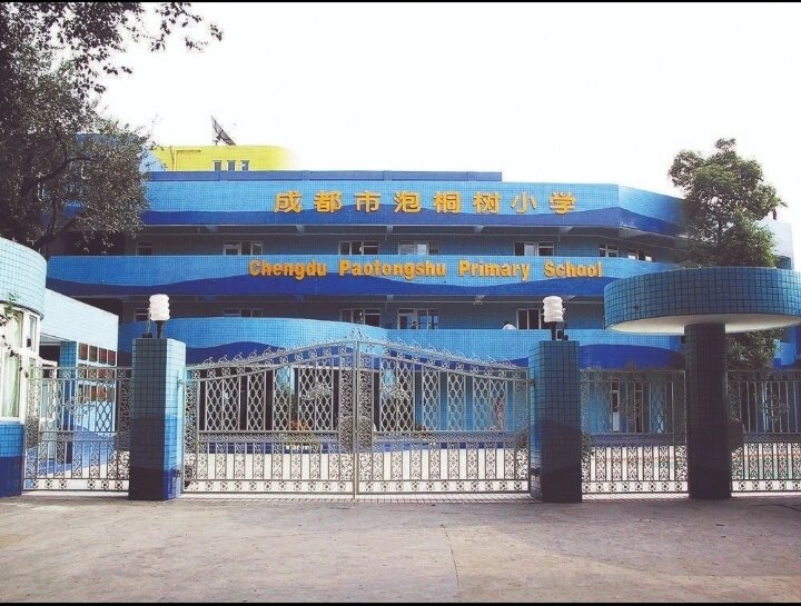 科普五朵金花之泡桐树小学