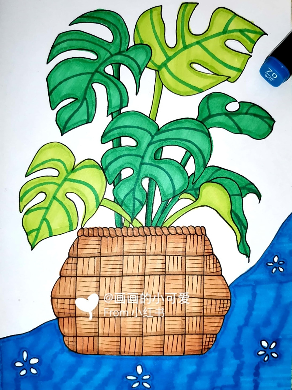 7--9岁线描写生 龟背竹 创意儿童画 简笔画