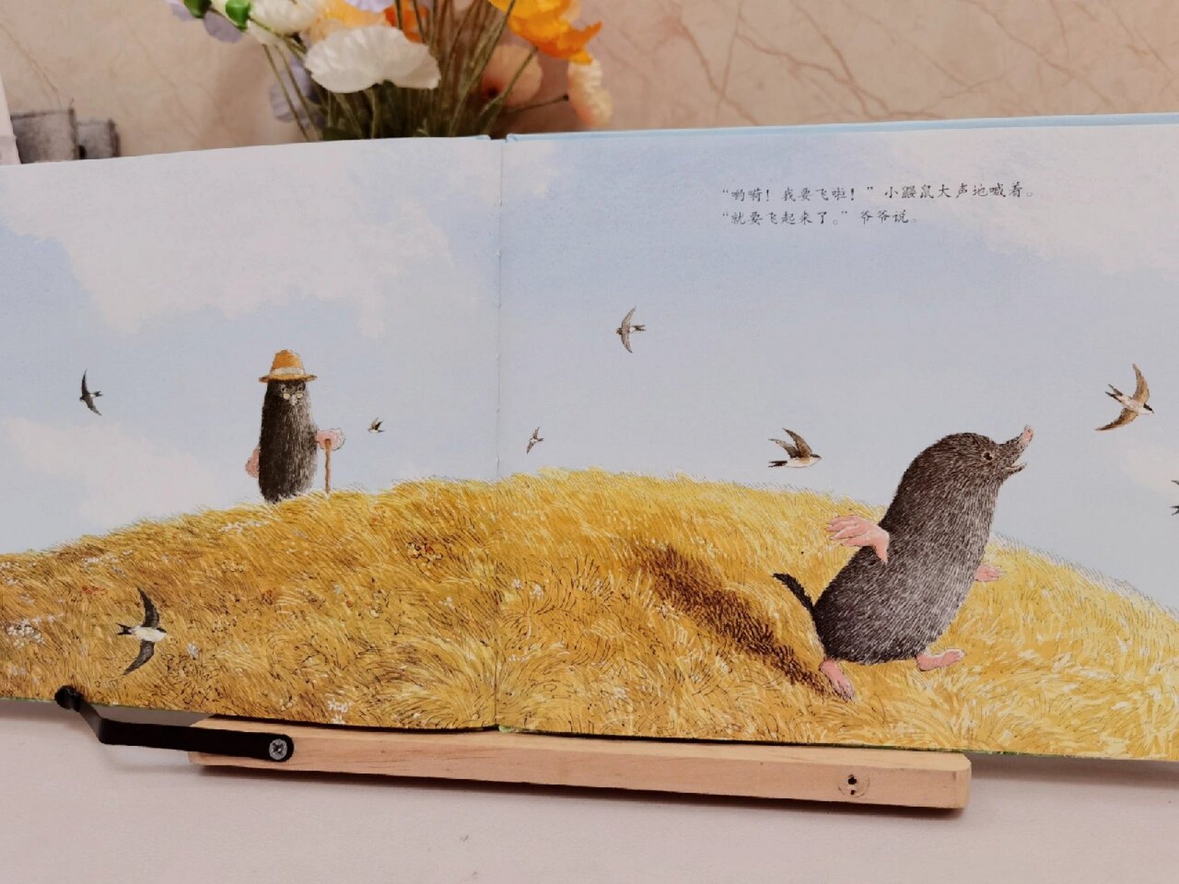 绘本|《鼹鼠与小鸟》爱,权利,自由 【毛丫讲绘本】绘本阅读指导师21天