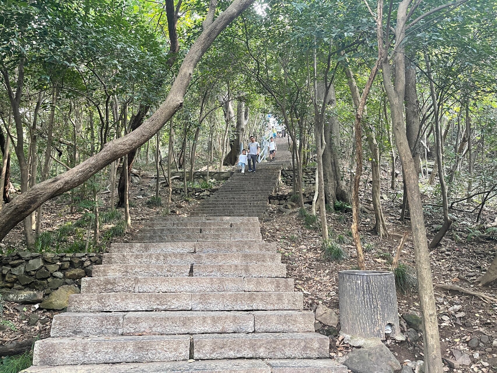 紫金山最高峰图片