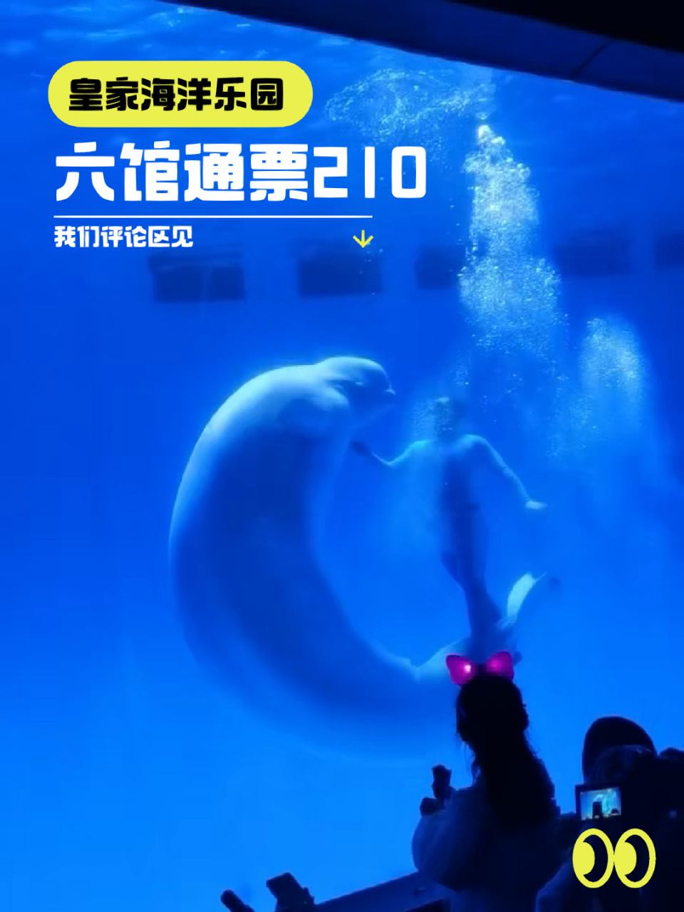 抚顺皇家海洋乐园6馆通票210 皇家海洋乐园五一钜惠开团!6馆畅玩!