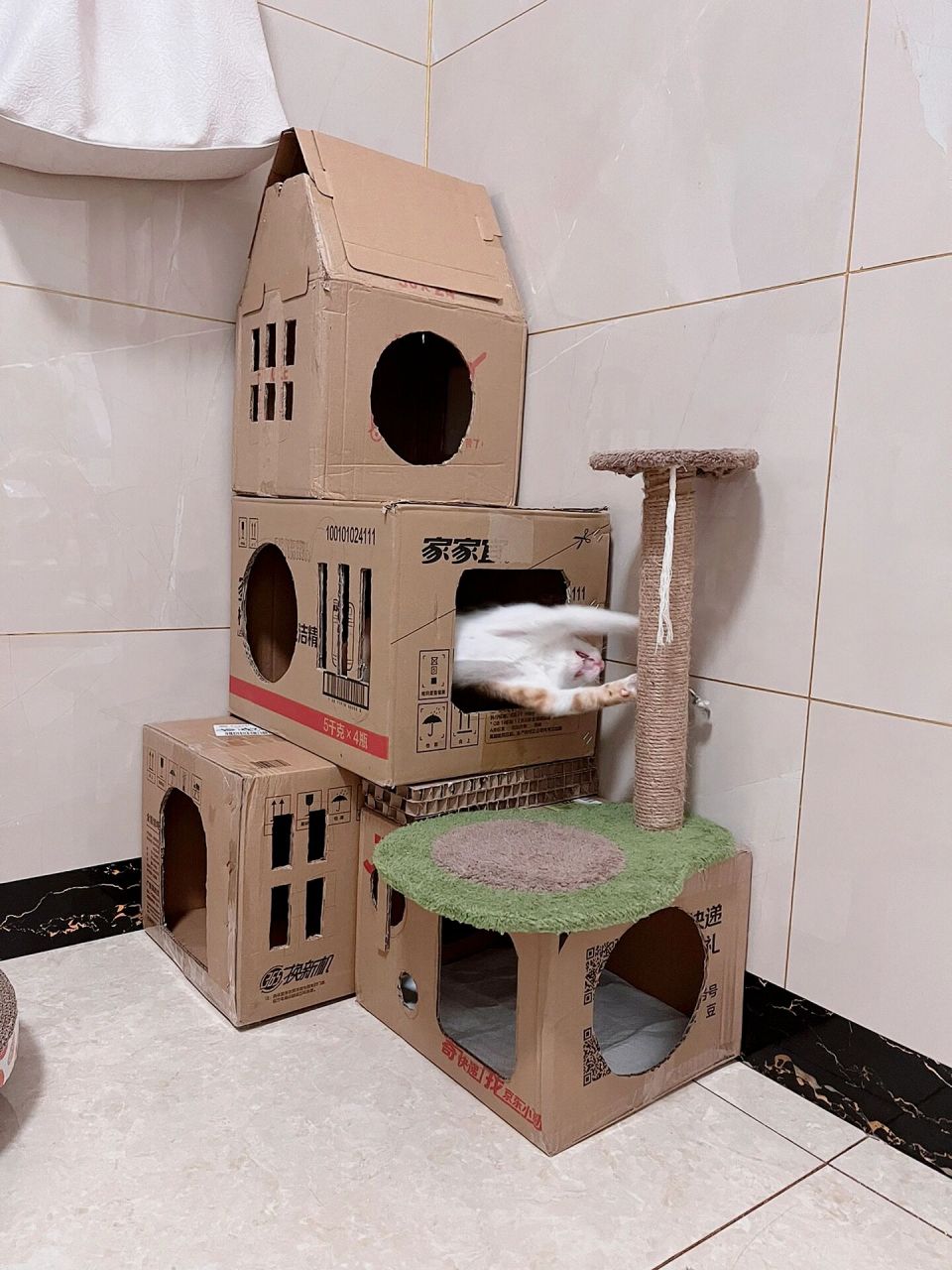 diy纸箱猫窝/猫爬架 毛坯房验收成功 为了做这个实在是太难了 光箱子